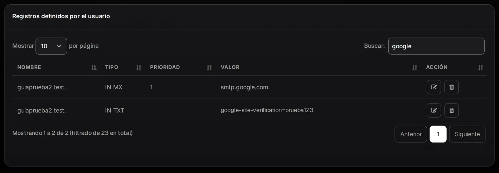Lista Registros definidos por el usuario filtrada por google, con el MX y el TXT nuevos