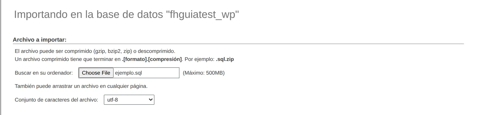 Pestaña Importar con el archivo elegido y el máximo de 500 MB